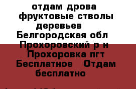 отдам дрова. фруктовые стволы деревьев . - Белгородская обл., Прохоровский р-н, Прохоровка пгт Бесплатное » Отдам бесплатно   